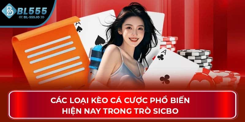 Các loại kèo cá cược phổ biến hiện nay trong trò sicbo